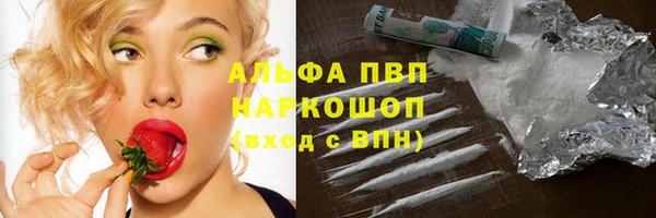 спайс Баксан